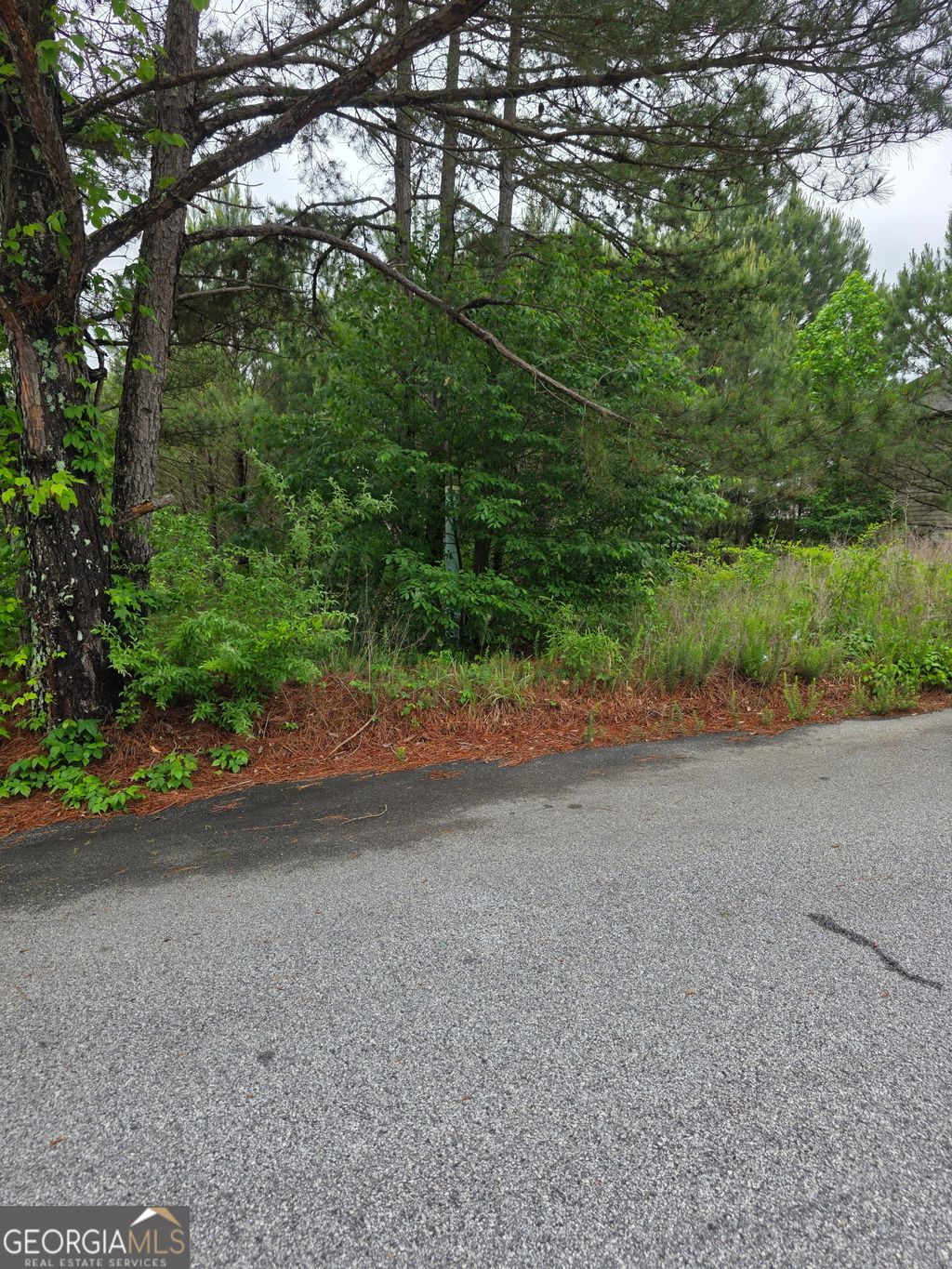 Photo of 6372 SW Flat Rock Land SW, Atlanta, GA 30349 (MLS # 10767210)