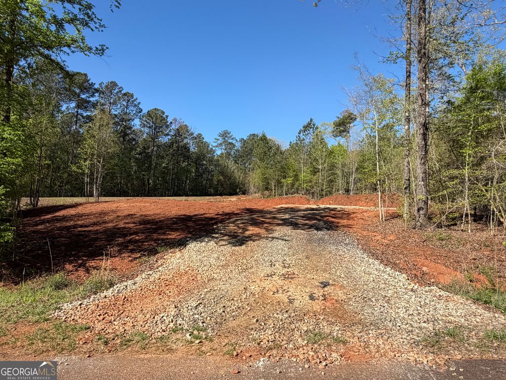 Photo of 0 Andrews Chapel Road, Thomaston, GA 30286 (MLS # 10727075)