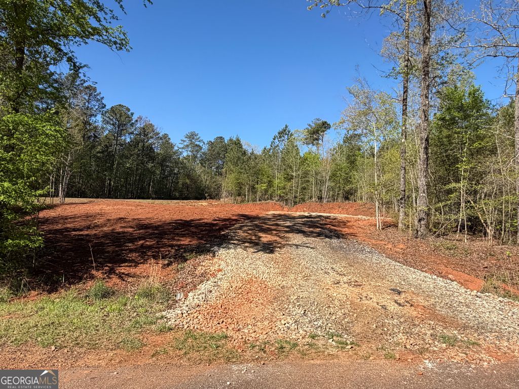 Photo of 0 Andrews Chapel Road, Thomaston, GA 30286 (MLS # 10727075)