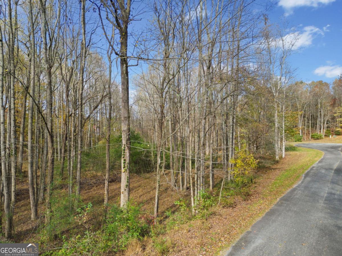 LOT 14 Highpoint Ridge CT