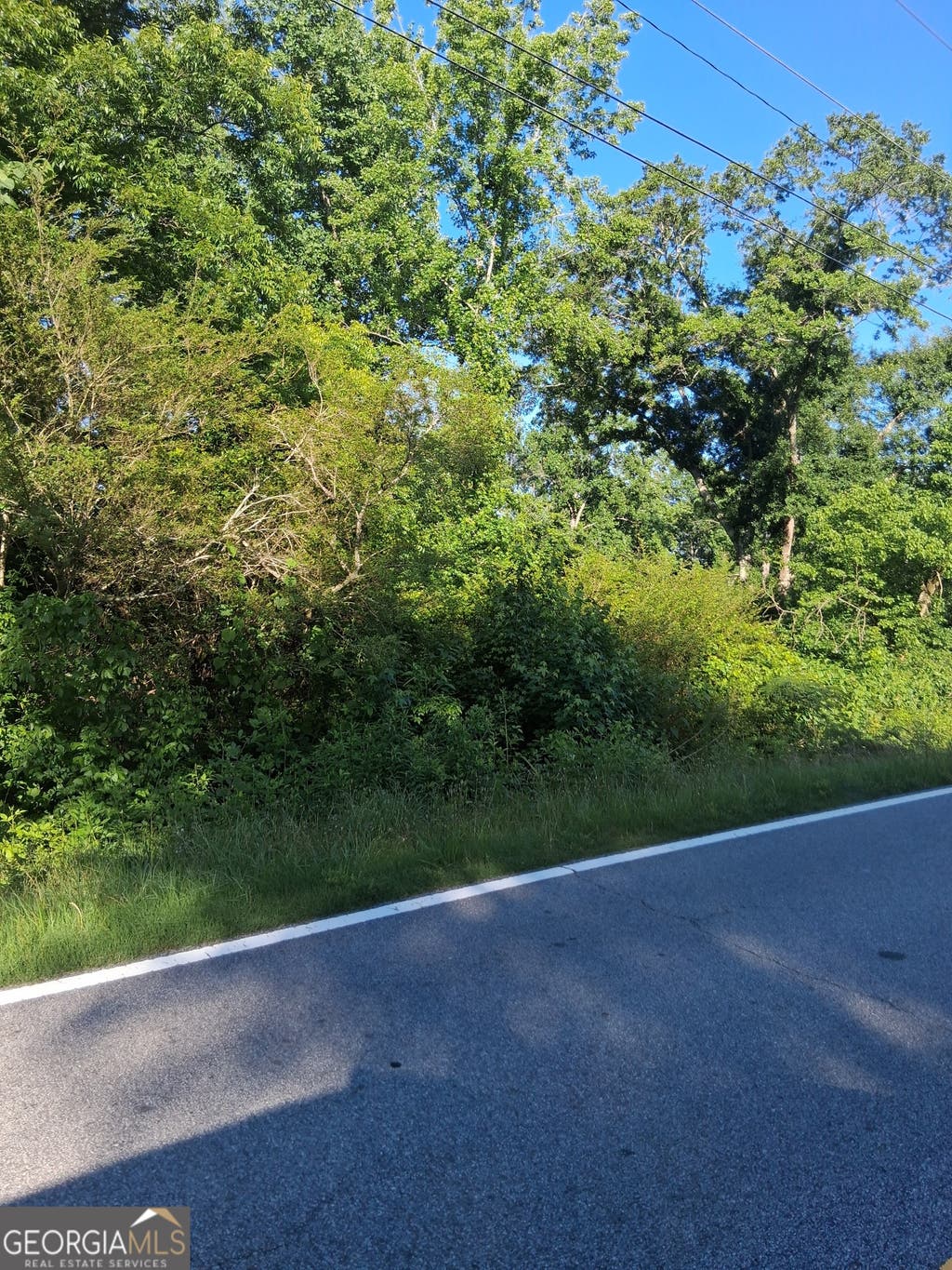 Photo of 222 N Pine Hill Road, Griffin, GA 30223 (MLS # 10779024)