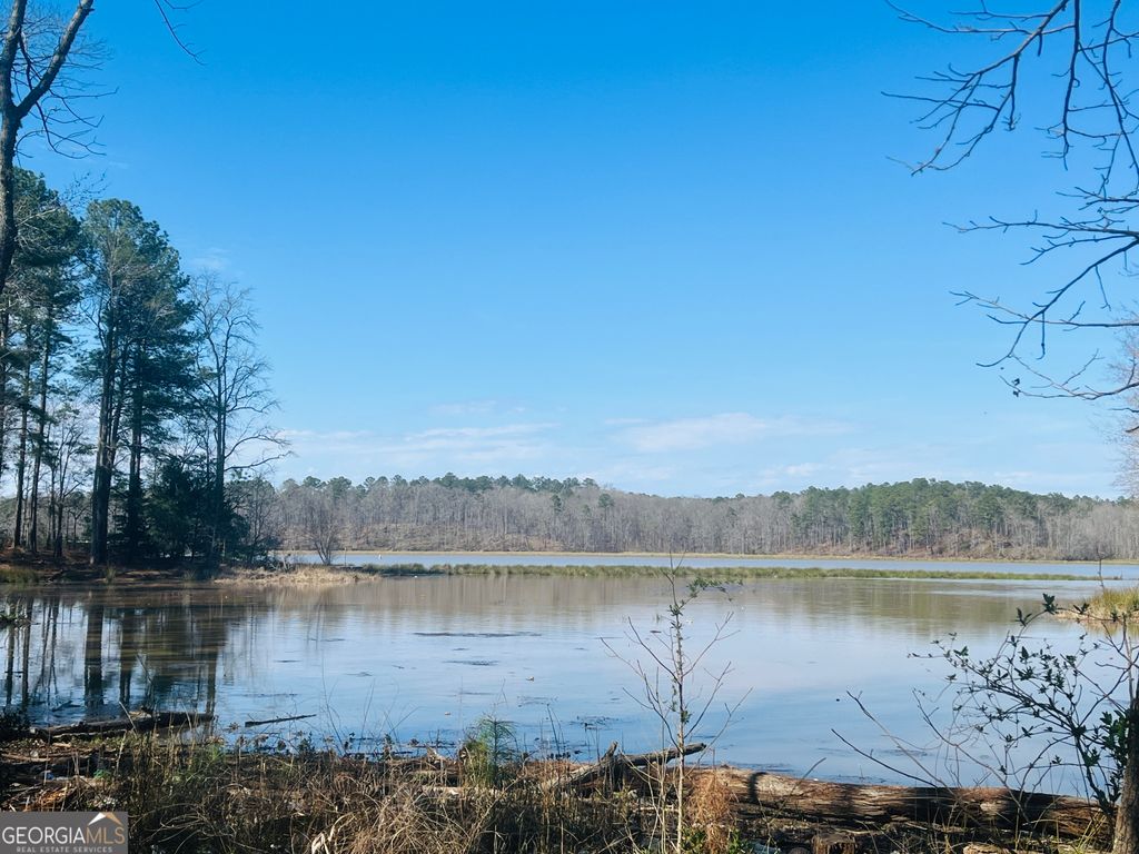 Photo of 364 Grayson Trail, Hogansville, GA 30230 (MLS # 10755200)
