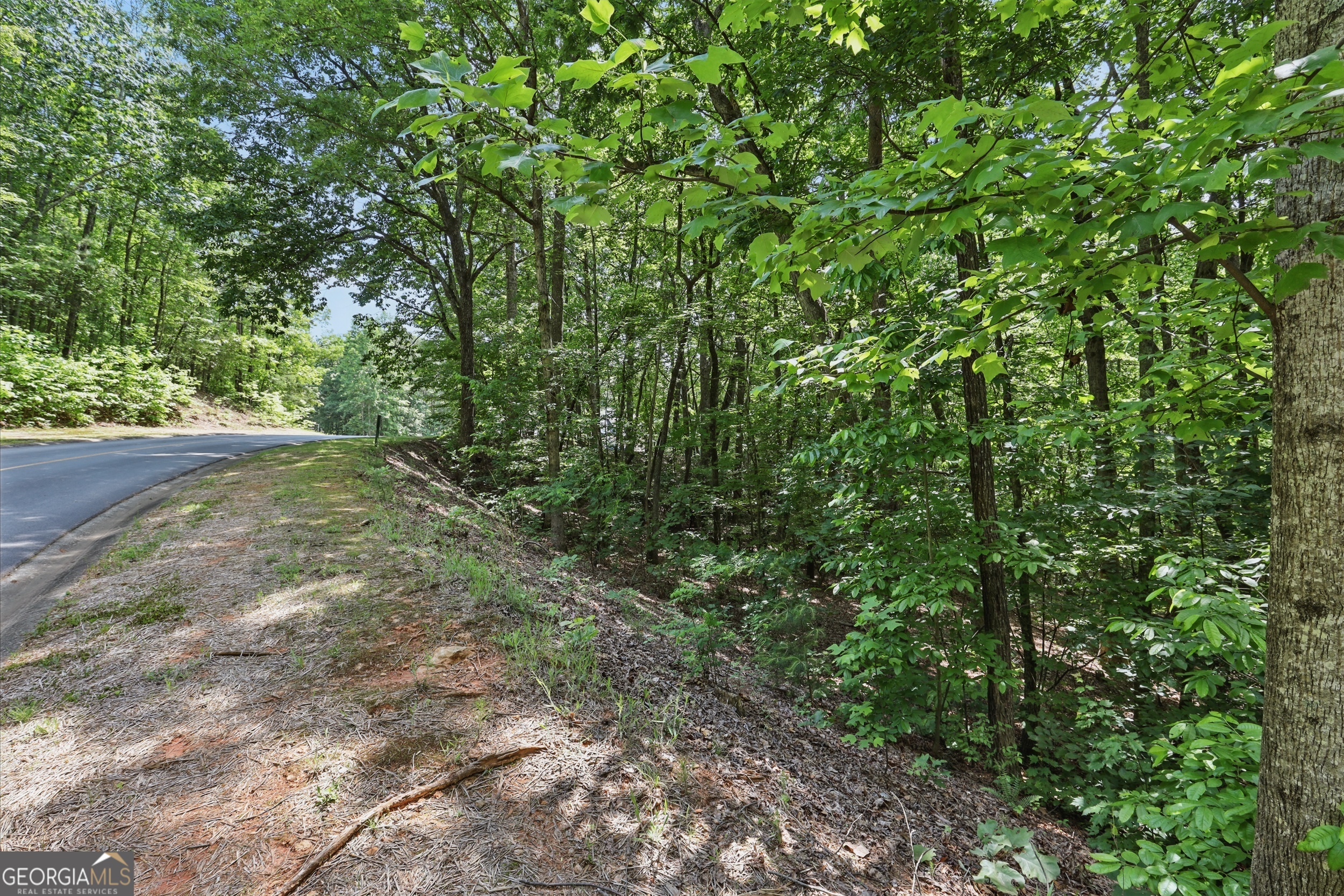 0 Plum LN LT 53