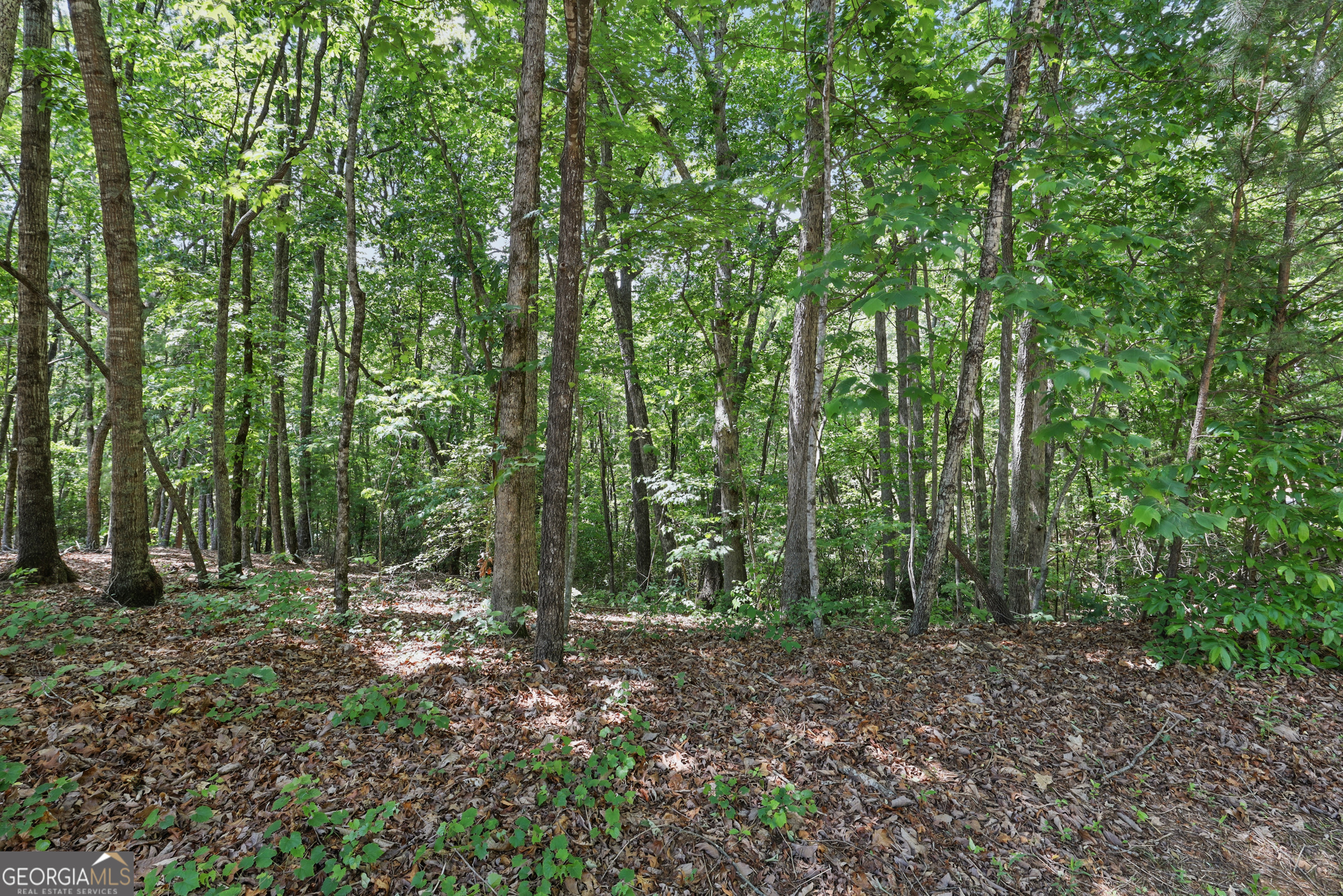 0 Plum LN LT 53