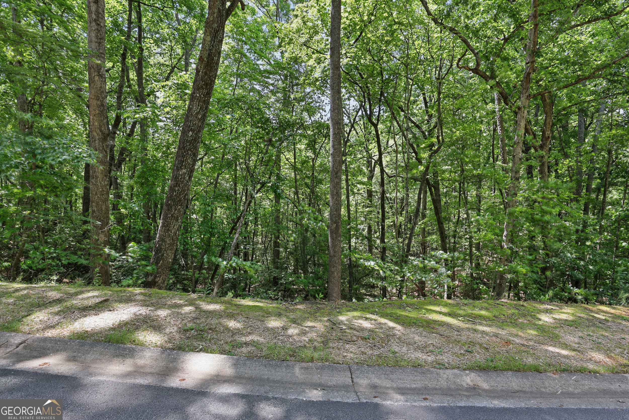 0 Plum LN LT 53