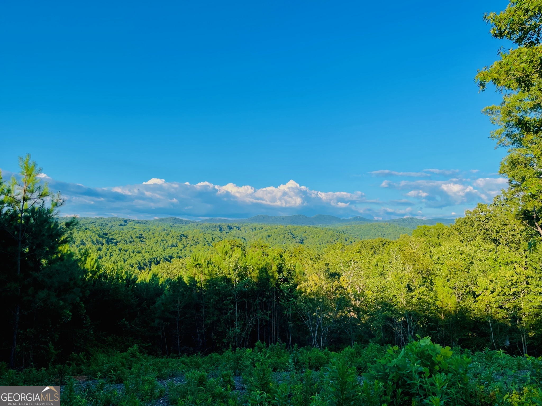 655 Lookout Valley TRL