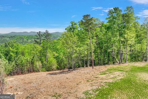 655 Lookout Valley TRL Talking Rock GA 30175