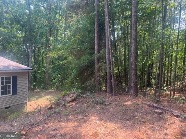 196 Old Scout RD
