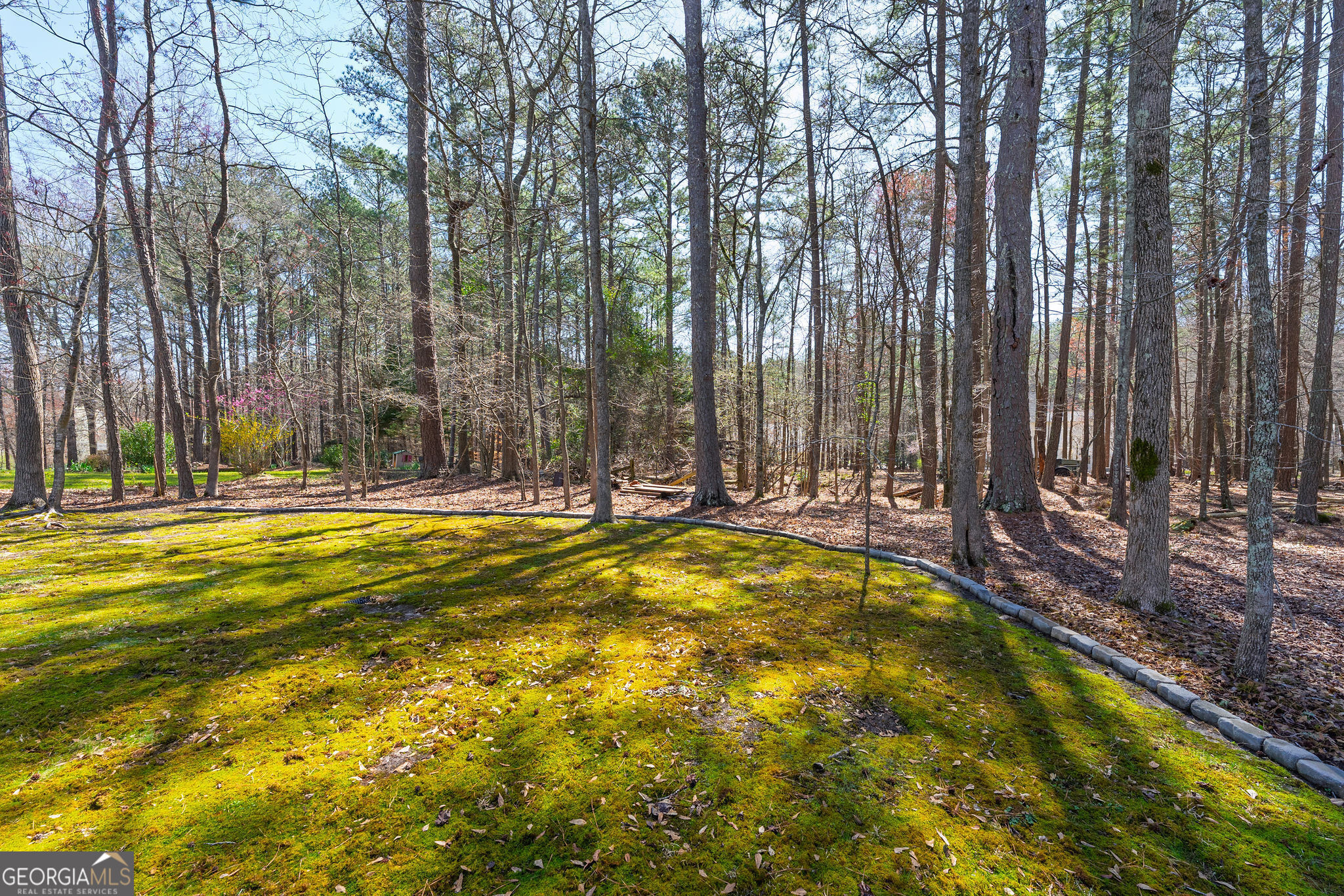 Peachtree City, Georgia 30269, United States, 5 Bedrooms Bedrooms, ,3 BathroomsBathrooms,Residential,Pending,88764