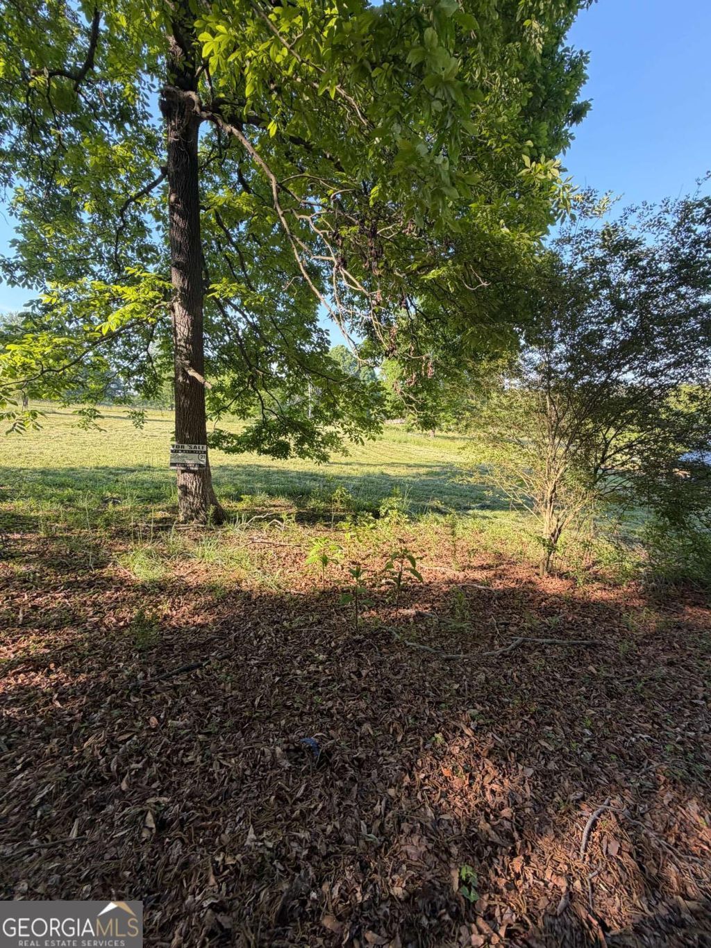 Photo of 0 Mountain Road, Morganton, GA 30560 (MLS # 10766158)