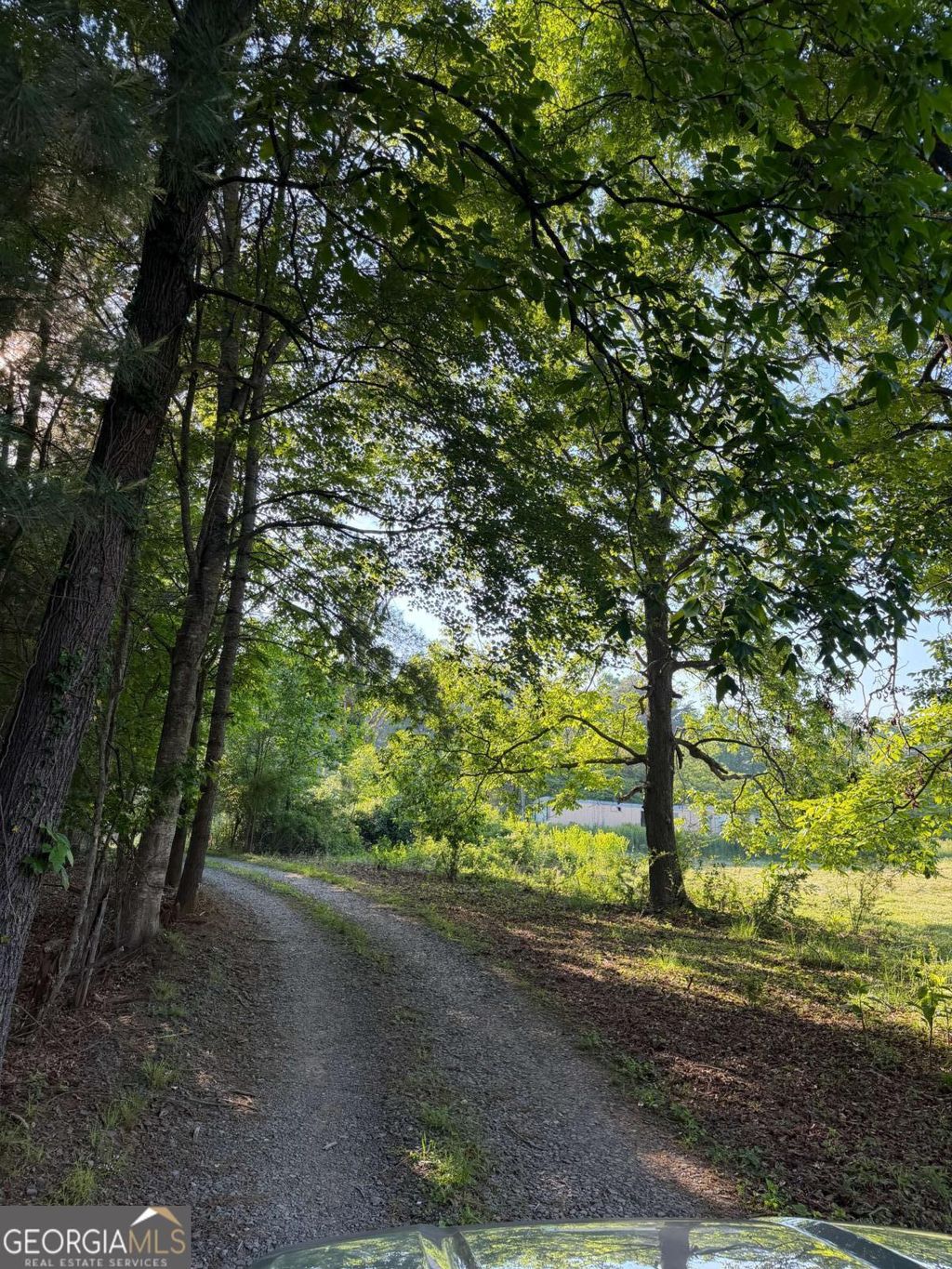 Photo of 0 Mountain Road, Morganton, GA 30560 (MLS # 10766158)