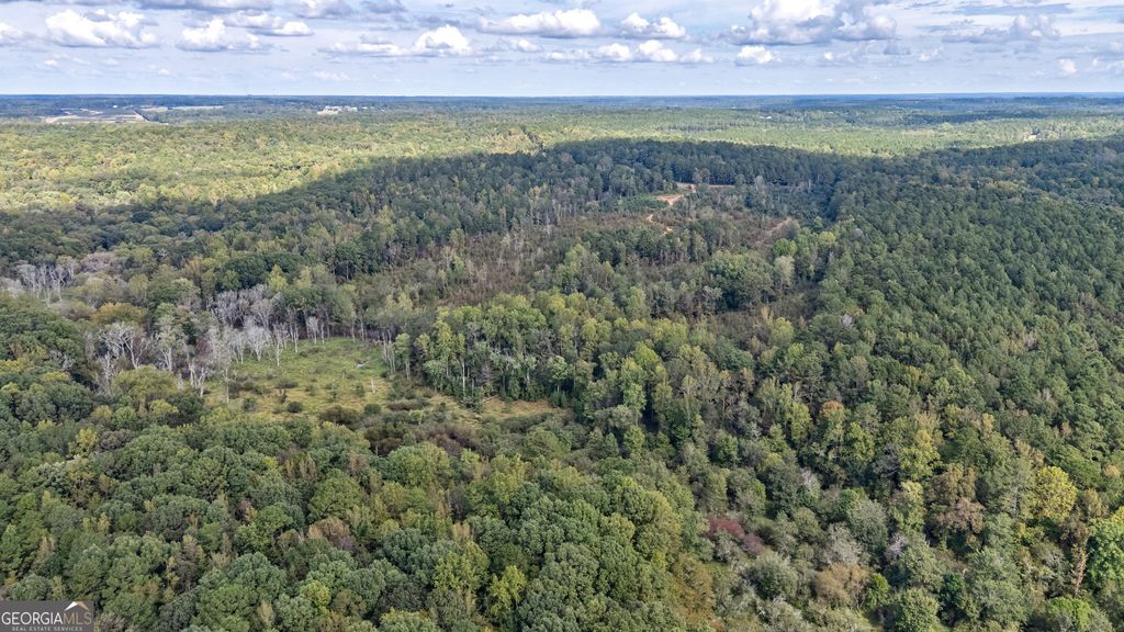 Photo of 0 Old Salem Road #TRACT 4, Watkinsville, GA 30677 (MLS # 10794819)