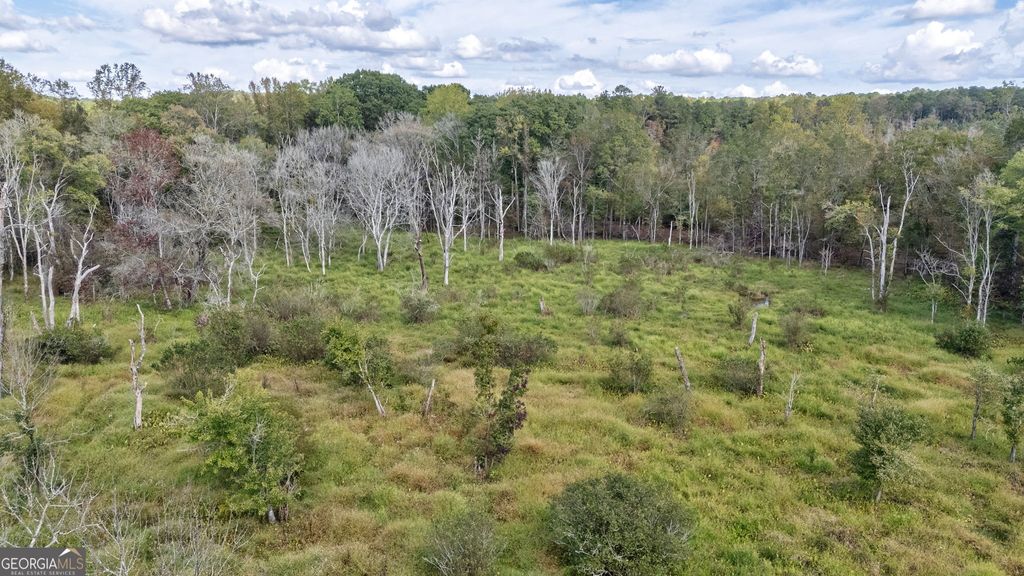 Photo of 0 Old Salem Road #TRACT 4, Watkinsville, GA 30677 (MLS # 10794819)