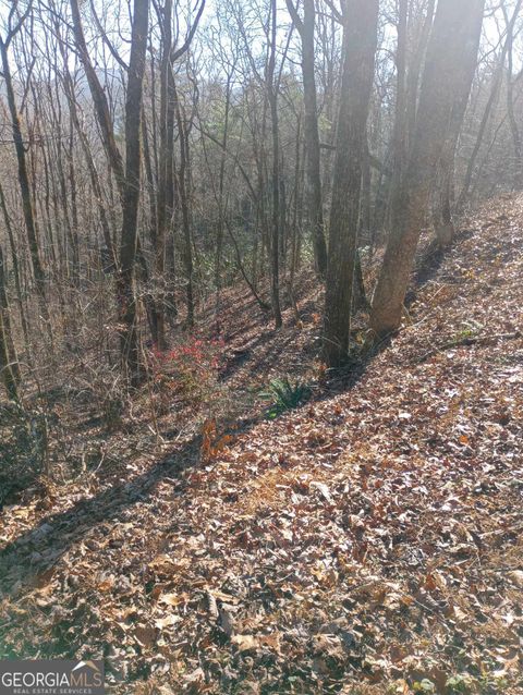 0 LOT 11A E Sugarbush Sky Valley GA 30537