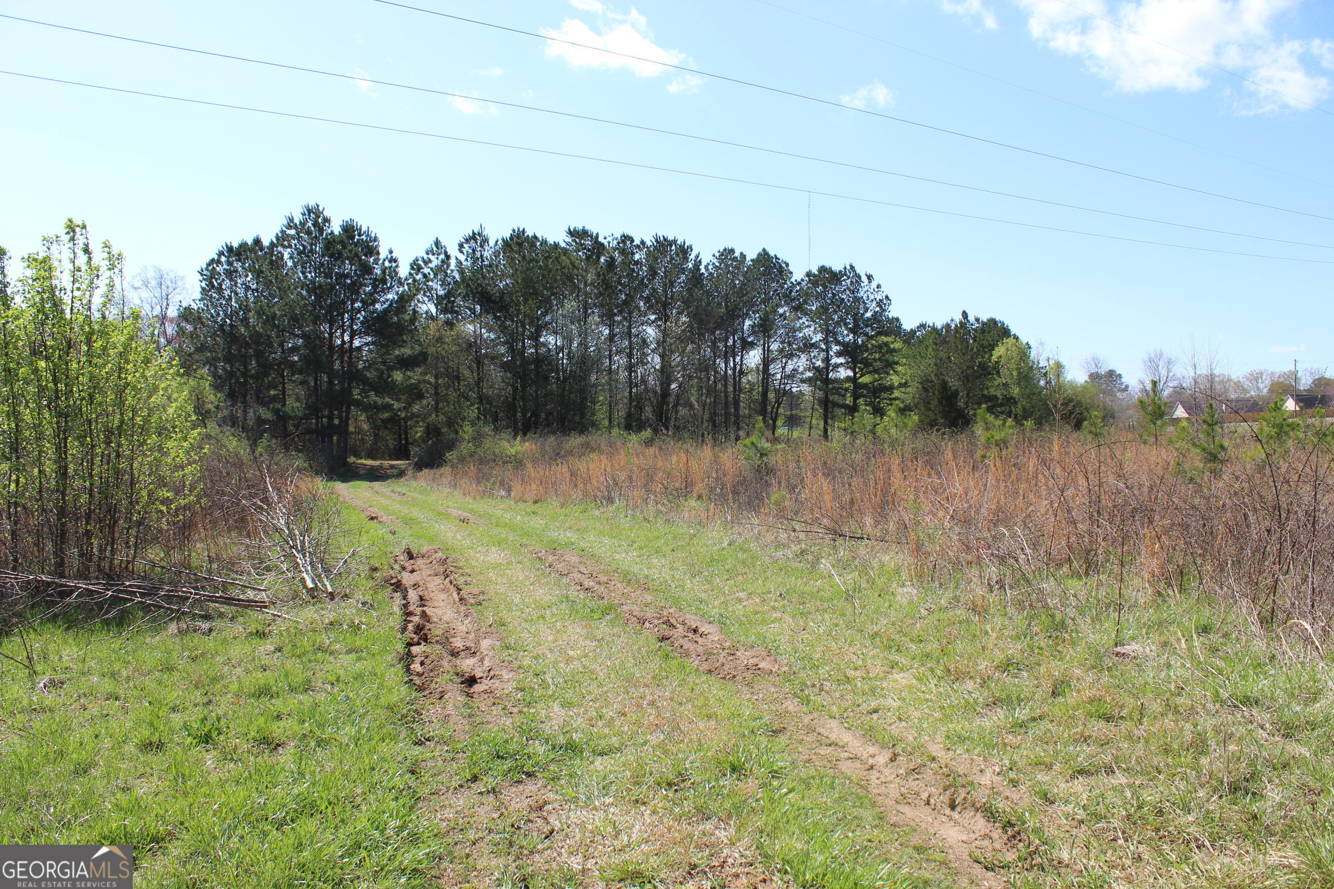 2018 Ben Johnson RD