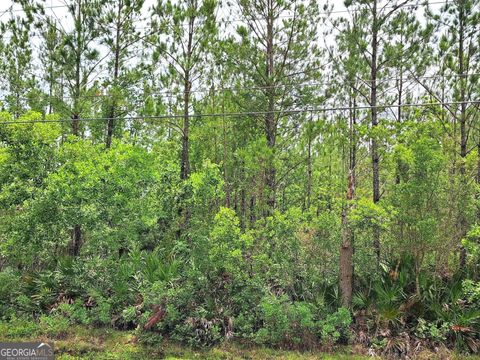0 Us Highway 17 Waverly GA 31565