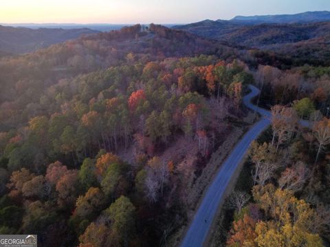 0 Canoe WAY LOT 266 Talking Rock GA 30175