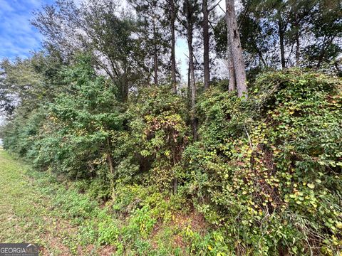 0 Elko RD Unadilla GA 31091