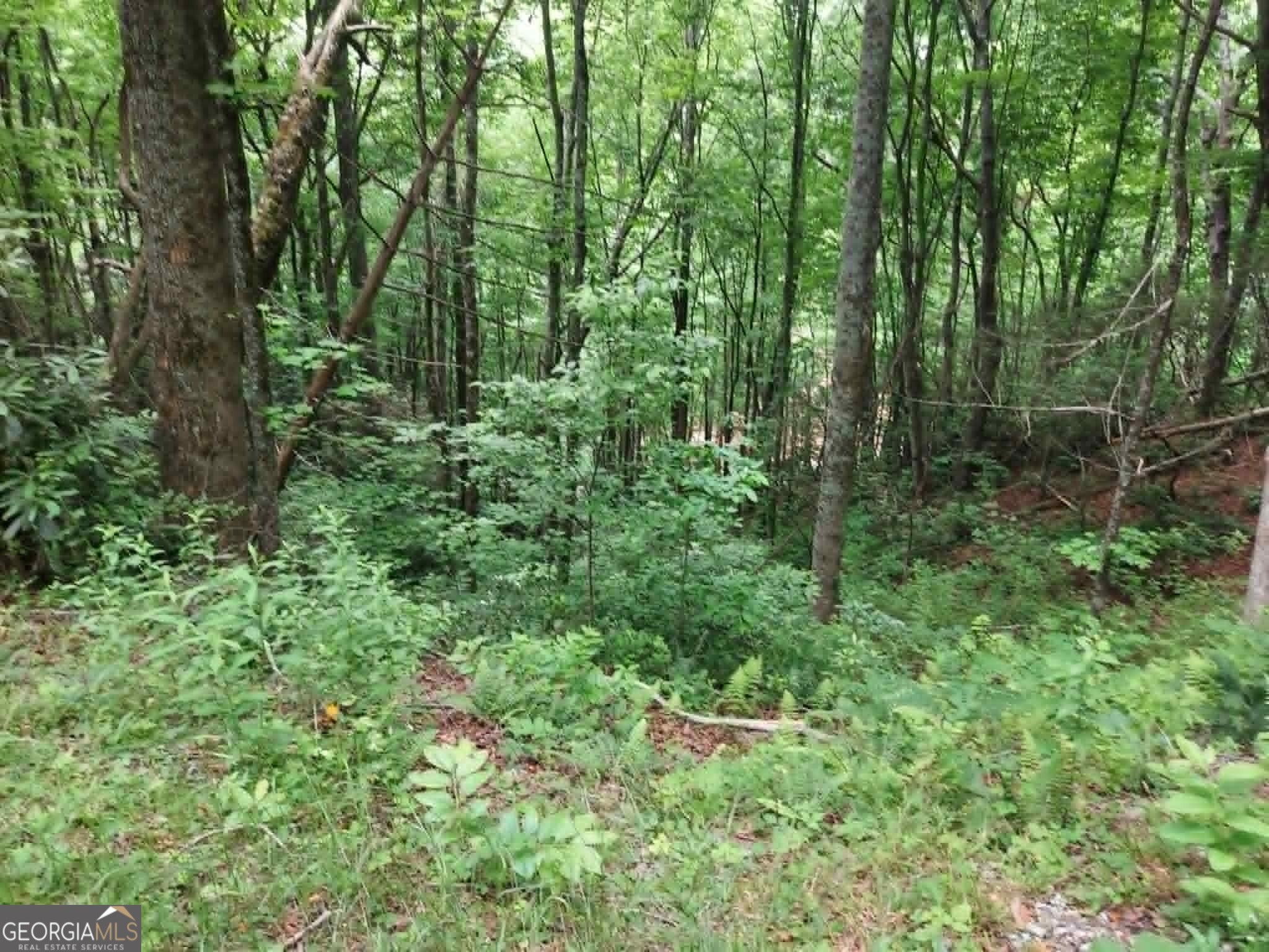 0 LOT 37 Saddleback Circle