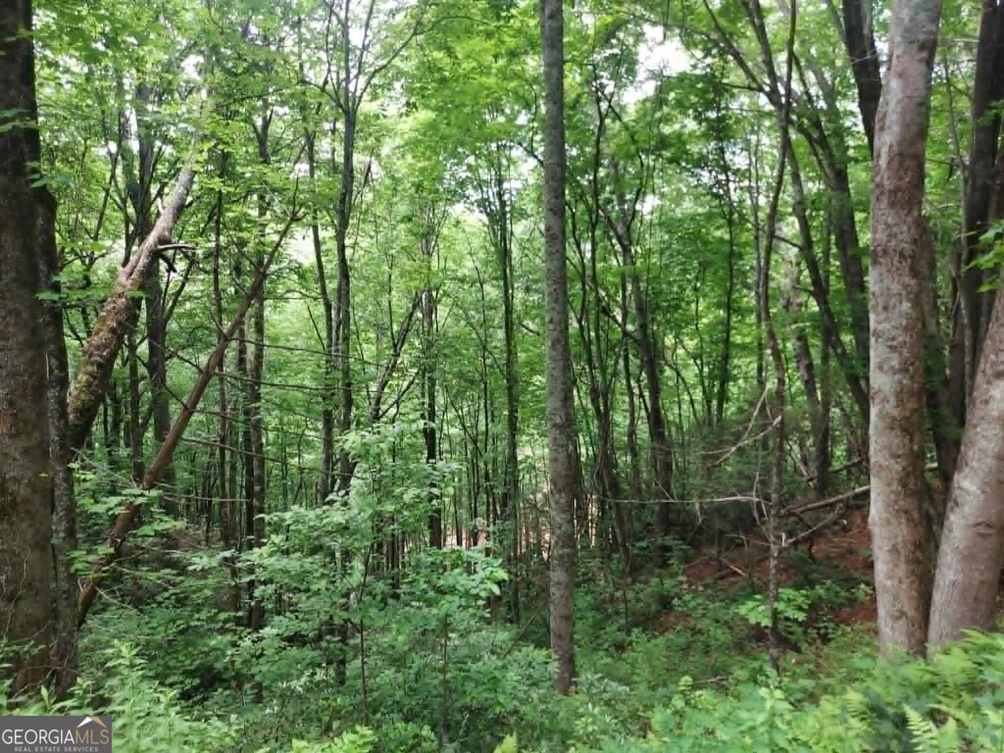 0 LOT 37 Saddleback Circle
