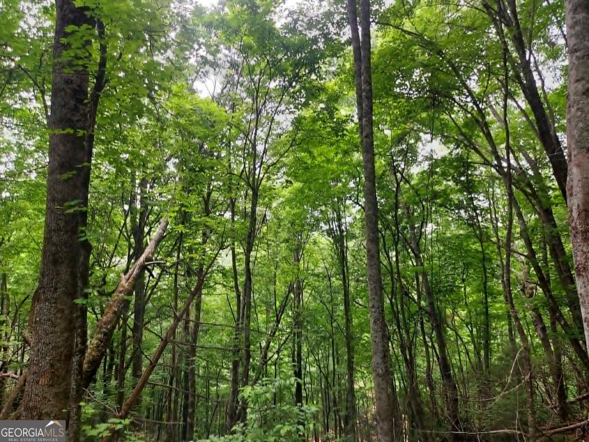0 LOT 37 Saddleback Circle