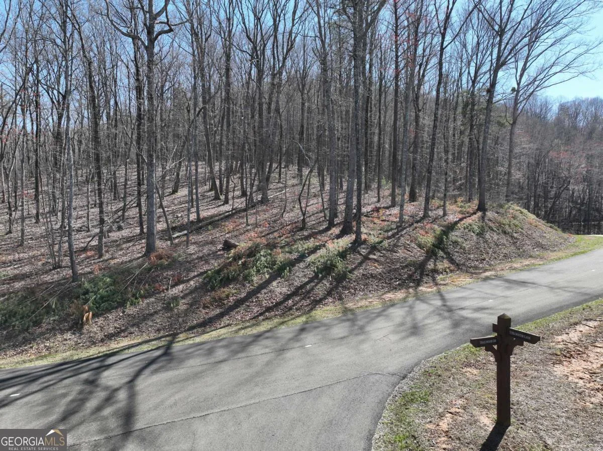 180 Trailwood Drive