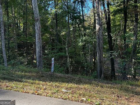 Photo of 5716 Quail Mountain Trail, Gainesville, GA 30506 (MLS # 10775200)