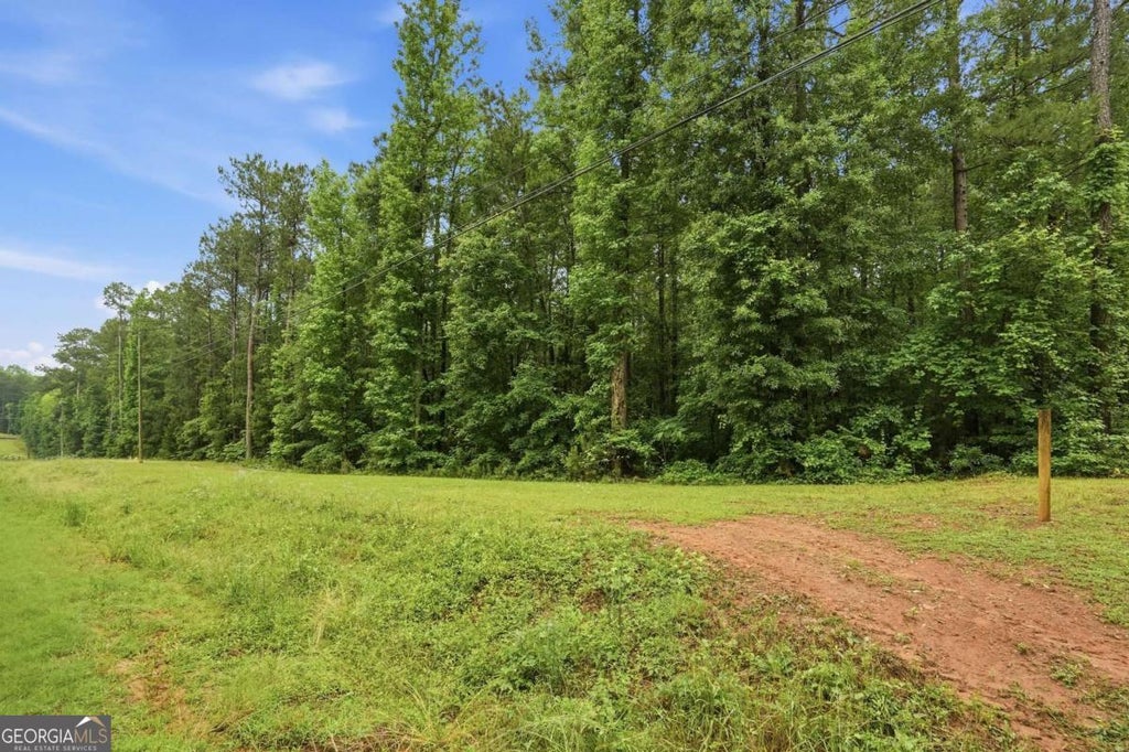 Photo of 2919 Highway, Covington, GA 30016 (MLS # 10779699)
