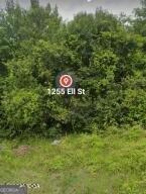 1255 Ell ST Macon GA 31206