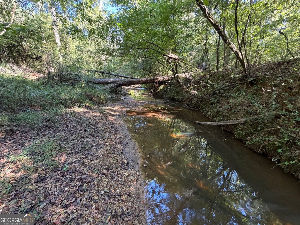 Photo of 00 Old Tennessee Road #2, Franklin, GA 30217 (MLS # 10866876)