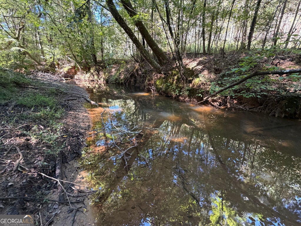 Photo of 00 Old Tennessee Road #2, Franklin, GA 30217 (MLS # 10866876)