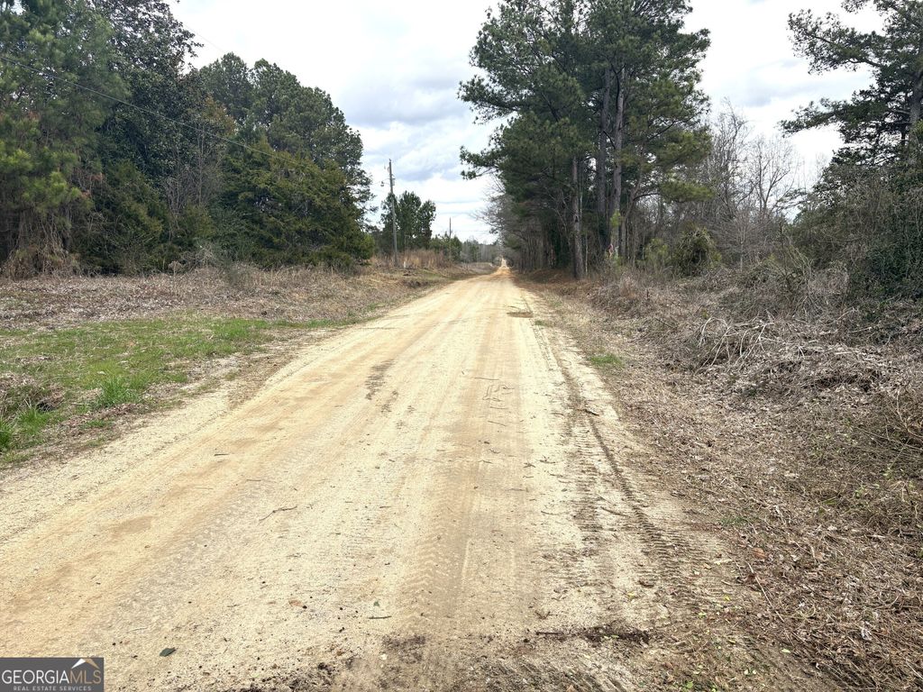 Photo of 1 Keysville-Boggs Academy Road, Keysville, GA 30816 (MLS # 10705023)