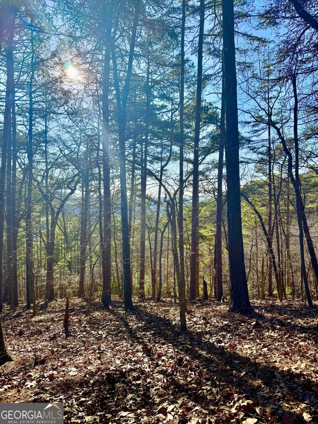 Photo of 334 Packet Court, Ranger, GA 30734 (MLS # 10692694)