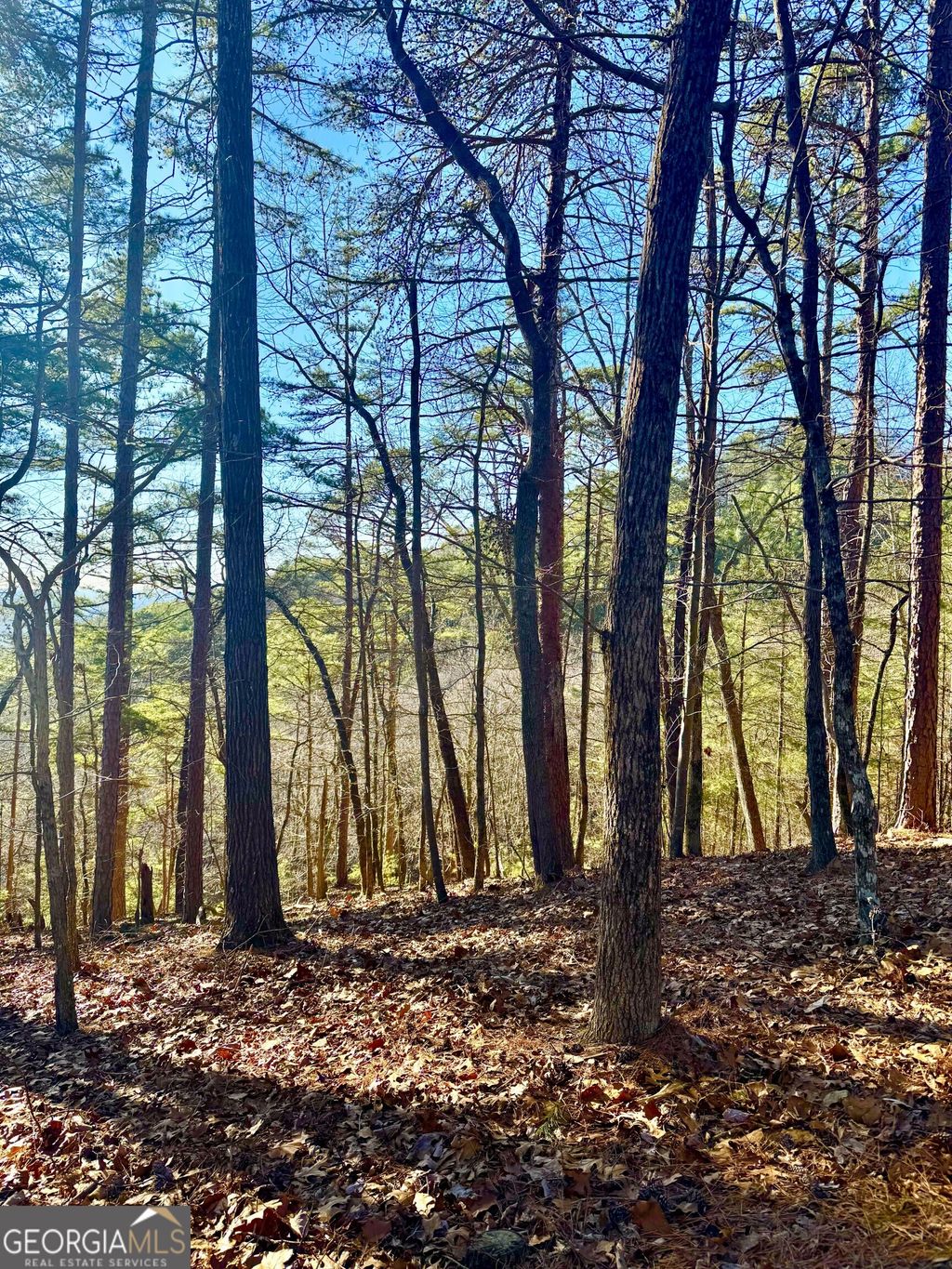 Photo of 334 Packet Court, Ranger, GA 30734 (MLS # 10692694)