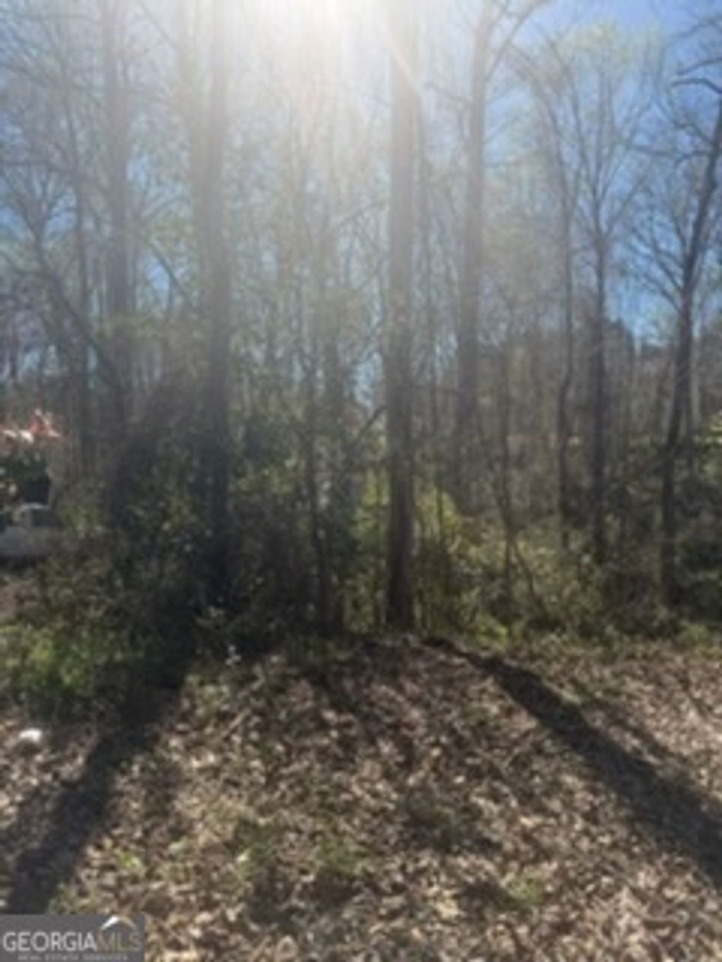 Photo of 10996 Shannon Circle, Hampton, GA 30228 (MLS # 10709275)