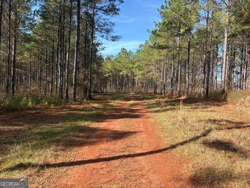 Photo of 2 Old Zebulon Road, Forsyth, GA 31029 (MLS # 10826007)