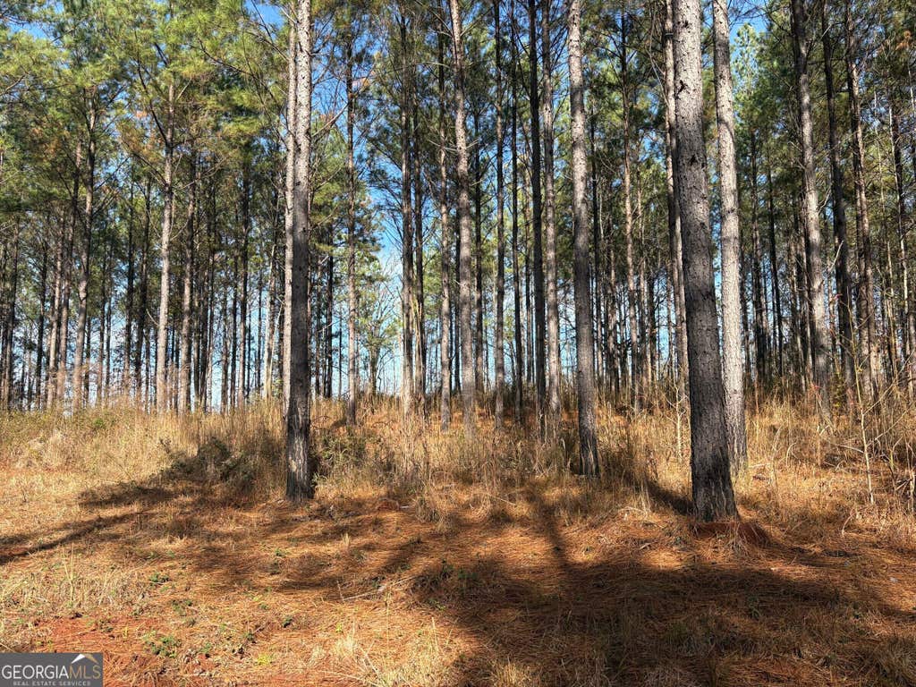 Photo of 2 Old Zebulon Road, Forsyth, GA 31029 (MLS # 10826007)