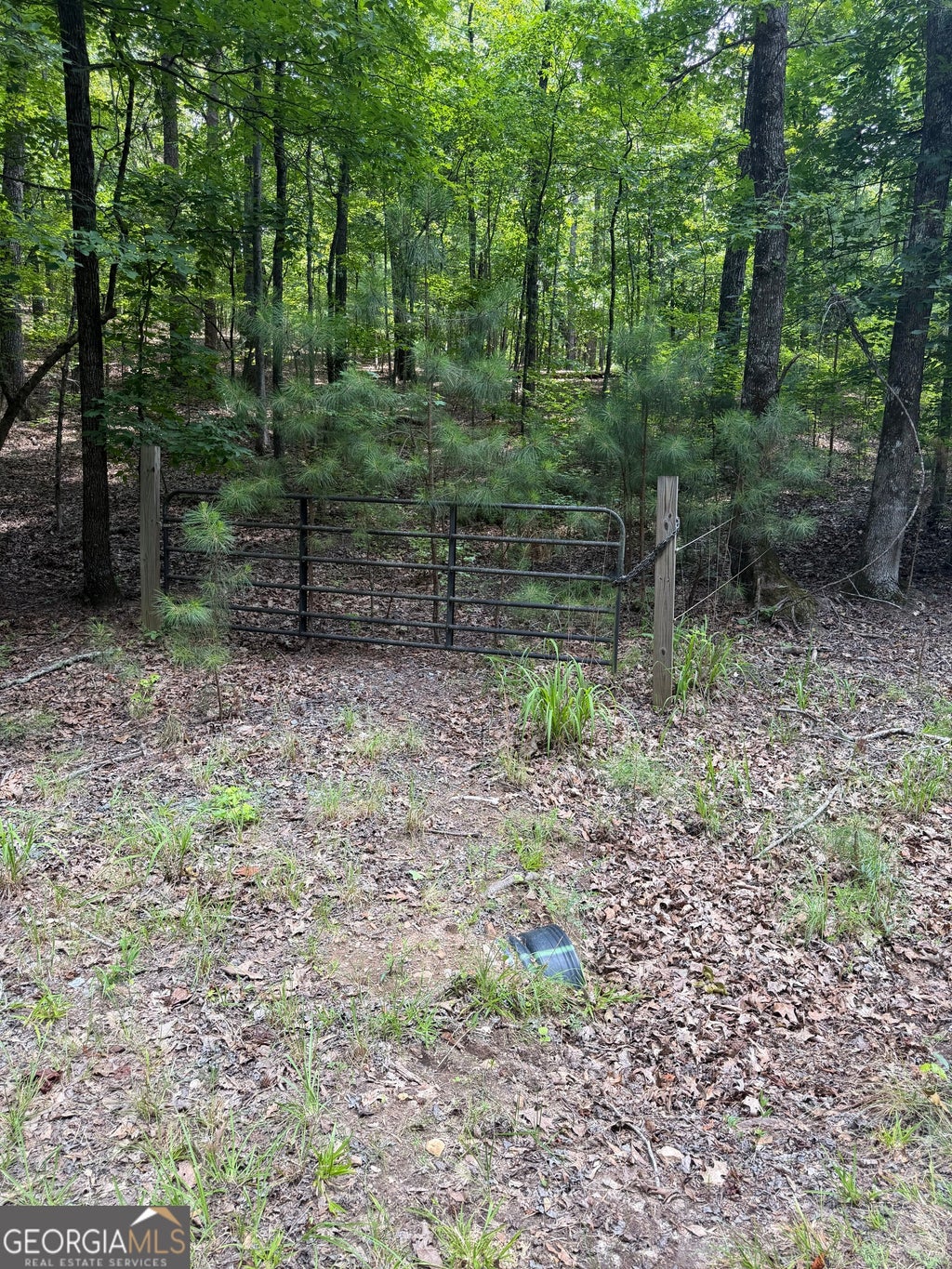 Photo of 0 Pleasant Valley Road, Thomaston, GA 30286 (MLS # 10836857)