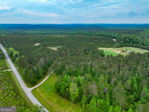 6620 Jr Sims RD Irwinton GA 31042