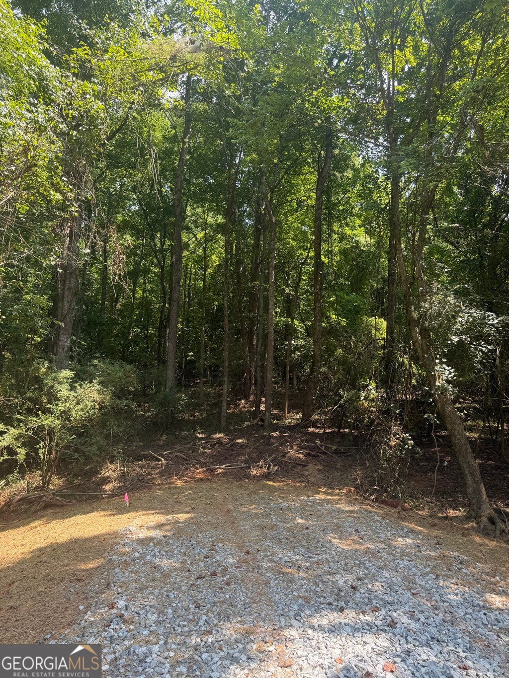 Photo of 0 Harvest Glen Way #TRACT 4, Gainesville, GA 30506 (MLS # 10814821)