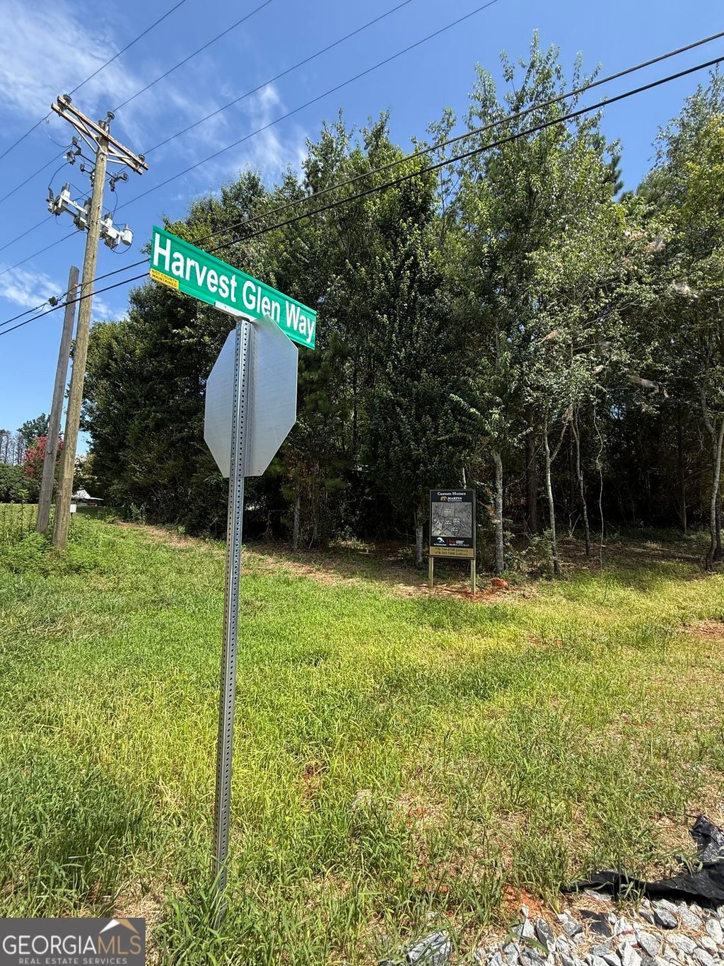 Photo of 0 Harvest Glen Way #TRACT 4, Gainesville, GA 30506 (MLS # 10814821)