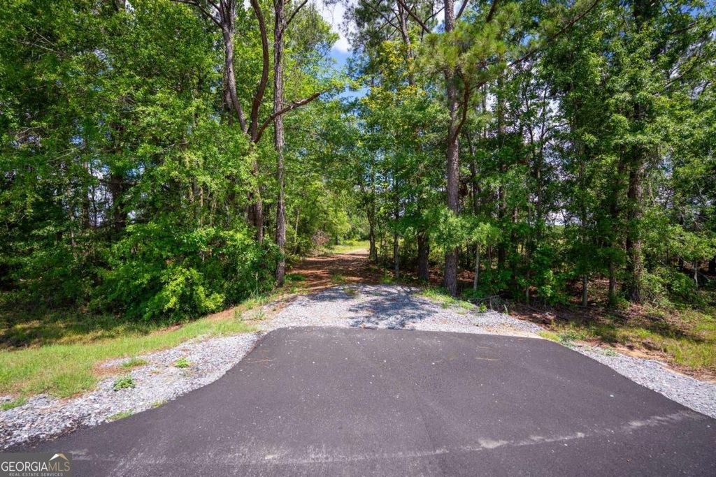 Photo of 17614 Lanes Bridge Road, Odum, GA 31555 (MLS # 10678757)