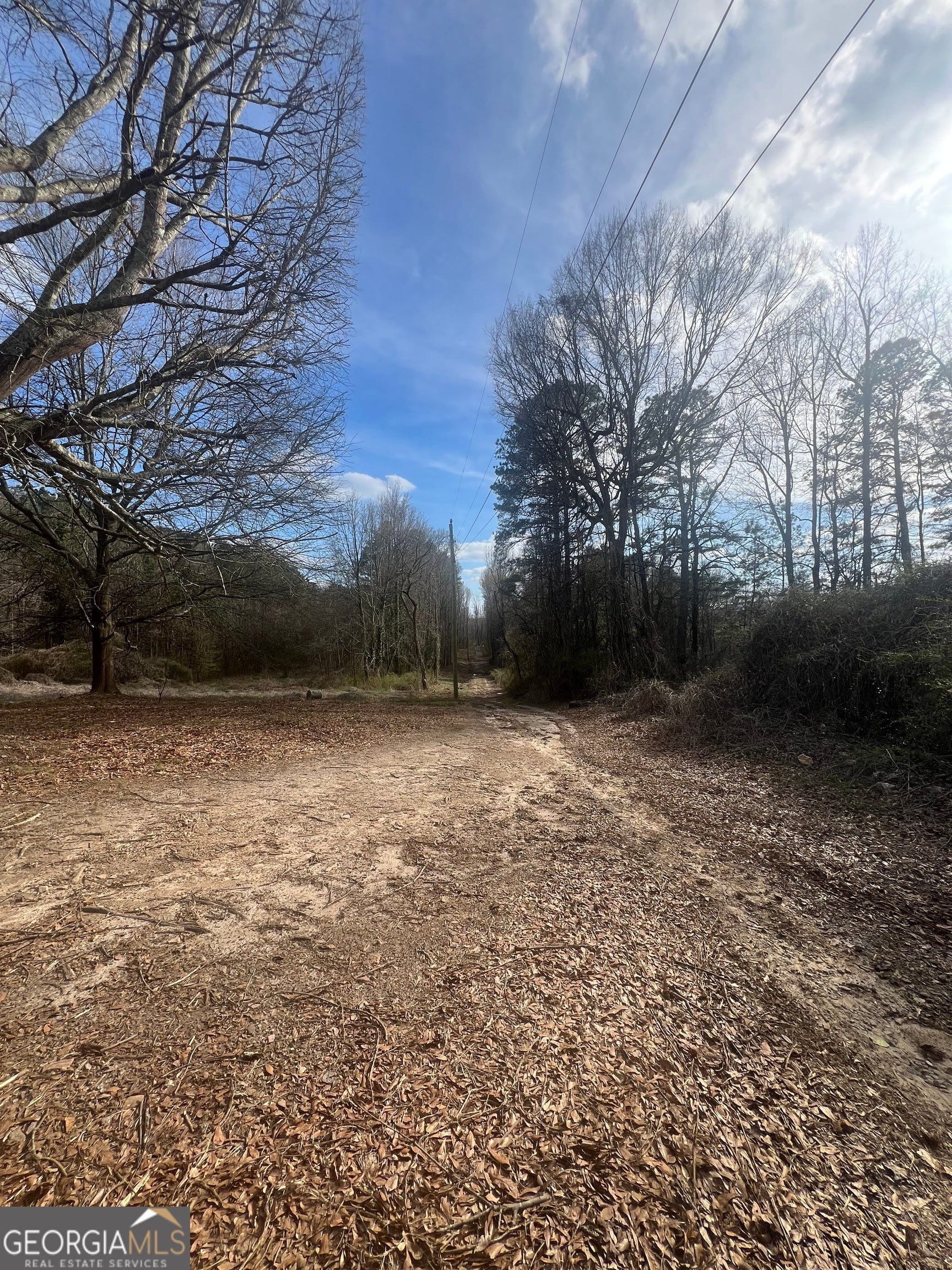 98 Pine Shadows DR