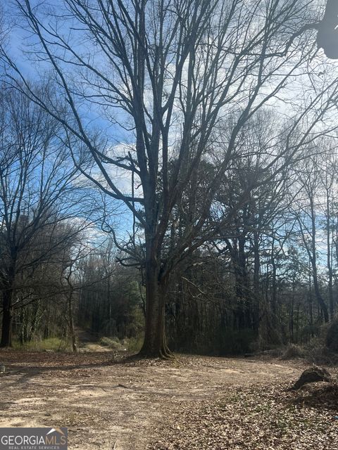 Photo of 98 Pine Shadows Drive, Dallas, GA 30157 (MLS # 10700807)