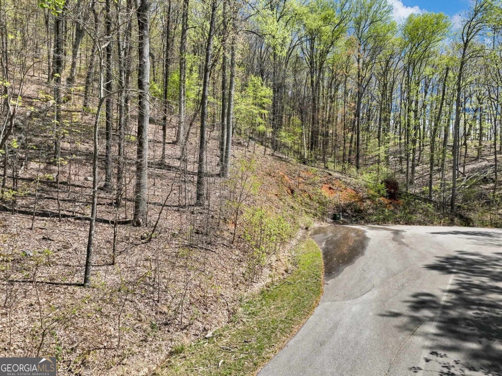 Photo of 0 Stone Cliff Trace, Cleveland, GA 30528 (MLS # 10841936)