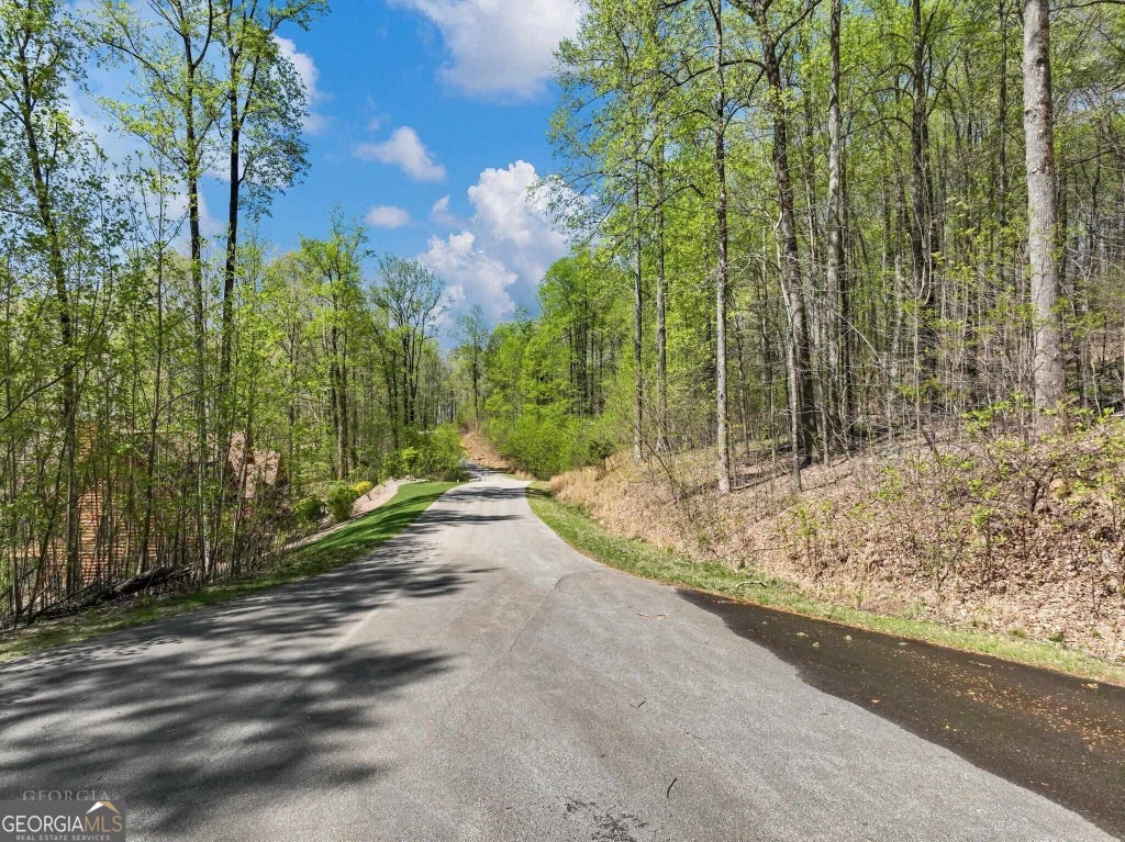 Photo of 0 Stone Cliff Trace, Cleveland, GA 30528 (MLS # 10841936)