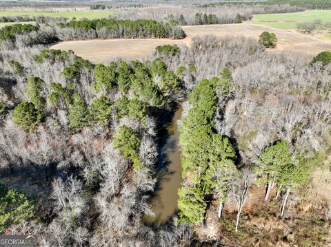 Photo of 0 Jenkins Farm Road, Byromville, GA 31007 (MLS # 10735344)
