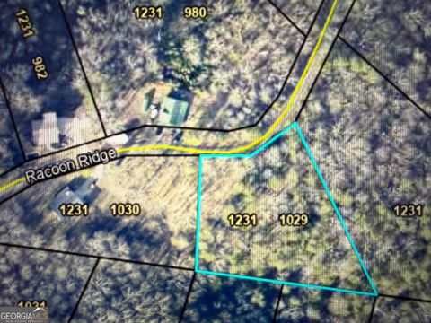 1029 Raccoon Ridge RD Ranger GA 30734