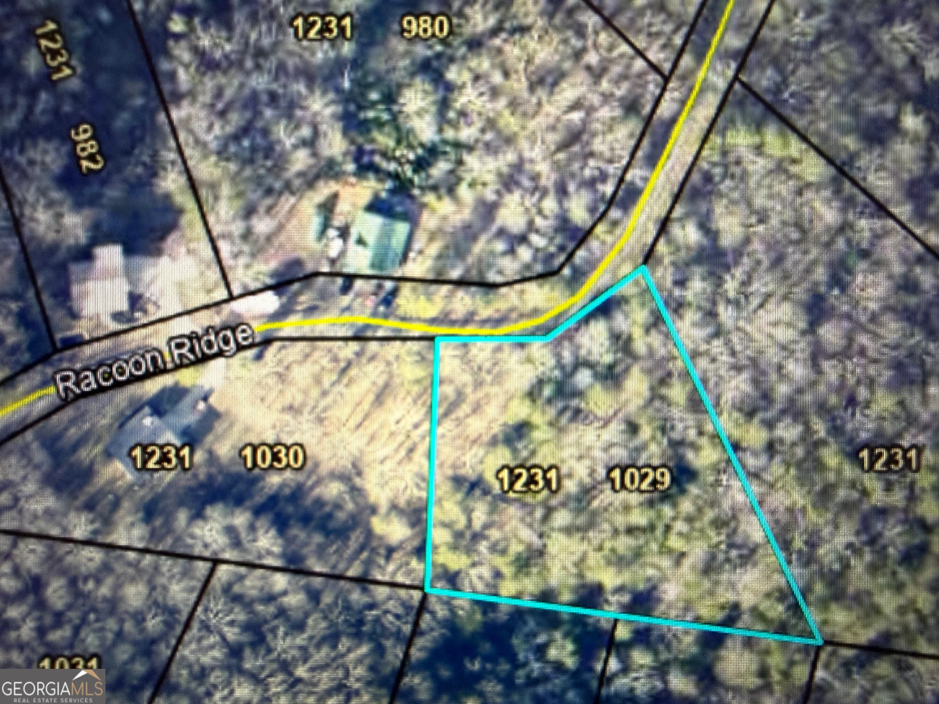 1029 Raccoon Ridge Road