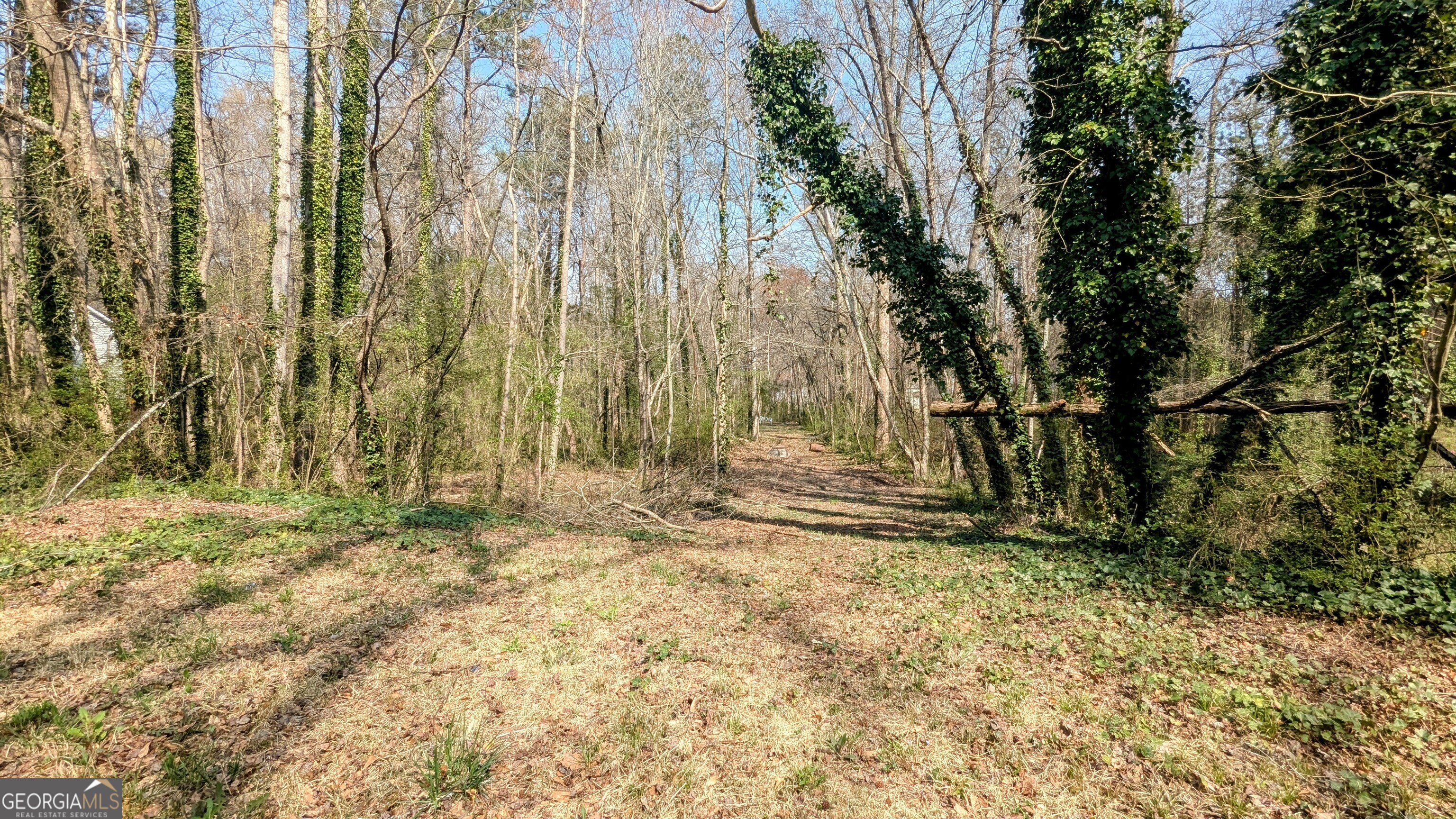Seize this incredible opportunity in a desirable Austell location! This spacious lot backs up to a beautiful creek! Whether you're a builder, investor, or future homeowner, this lot offers endless potential to bring your vision to life!
